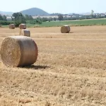 Il Nido Di Giulia * Casa Sant'Andrea